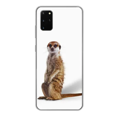 Produktbild von MuchoWow® Handyhülle Schutzhülle Hülle für Samsung Galaxy S20 Plus Erdmännchen - Tiere - Fell Silikon Softcase Handy Hülle - Hartschale