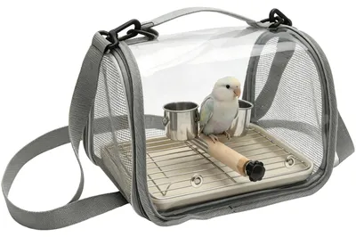 Vogeltransportbox mit Doppel-Futternapf, grau