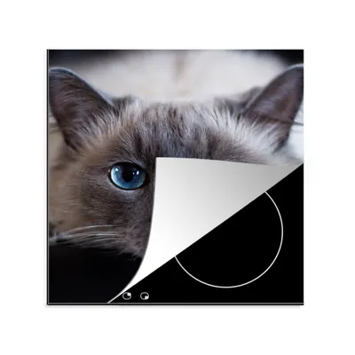 Produktbild von KitchenYeah© Herdabdeckplatte Katze - Grau - Nahaufnahme , 78x78cm, Küche Deko, Glaskeramikkochfeld Herdabdeckung, Abdeckplatte fùr Kochfeld