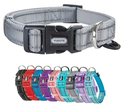Image de Collier réfléchissant pour chien, en nylon avec doublure en néoprène