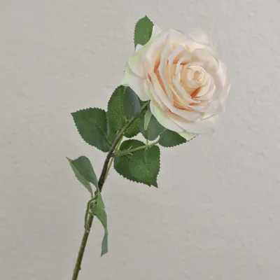 Produktbild von artplants.de Kunstrose Kailin, Creme-rosa, 65 cm - Künstlicher Blumenzweig