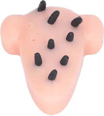 Produktbild von Pickel-Quetschspielzeug in Nasenform, Stress und Mitesser-Entfernung, Dekompression