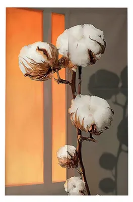 Image de Rideau de porte de style japonais, en coton, 85x180 cm