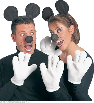 Immagine prodotto di Set di accessori per mouse