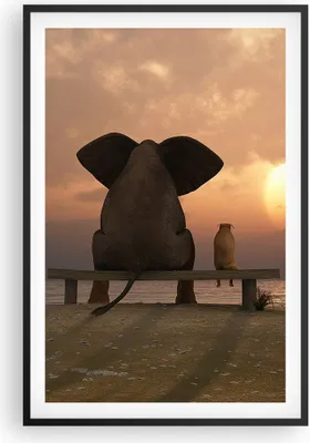 Produktbild von Gerahmtes Poster - Schwarzer Rahmen - Elefant Ufer Meer - 61x91,5 cm - Wand Bild - Wanddeko - Wandbilder - Kunstposter - Wandposter - Bilderrahmen - Bilder - Kunstdruck - Wandbild - P2BPA61x91-3555