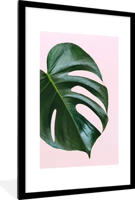 Produktbild von MuchoWow® Gerahmtes Poster Musterblatt mit rosa Hintergrund 60x90 cm - Poster mit Schwarzem Bilderrahmen Wandposter Rahmen Foto Bilder - Dekoration - Wandposter Wohnzimmer - Hochwertig