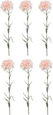 Produktbild von 6er Set künstliche Nelken Dianthus spray H. 67cm weiß rosa Emerald Kunstblumen