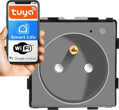 Produktbild von Steckdosenmodul mit Stift 230V WLAN grau