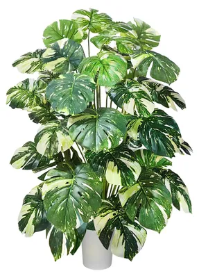 Kunstpflanze Monstera 130 cm, 36 Blätter, im Topf