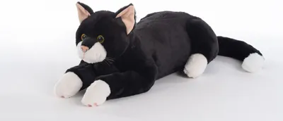 Produktbild von Aktivkatze® Demenzhilfe schwarz (Blacky)