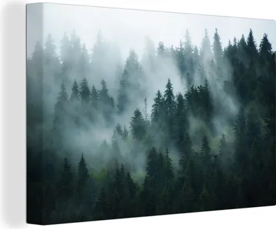 Produktbild von OneMillionCanvasses® - Leinwandbilder - 140x90 cm, Nebel - Bäume - Wald, Wandbilder Kunstdruck Wanddekoration - Foto auf Leinwand - Gemälde auf Holzrahmen