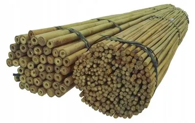 Imagen del producto de Varillas de bambú resistentes para soporte de plantas