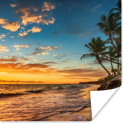 Produktbild von MuchoWow® Poster Strand - Sonnenuntergang - Meer - Palme 75x75 cm - Wand Dekoration