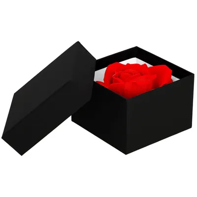 Produktbild von Springos® Rosenbox Ewige Rose Geschenk für Valentinstag