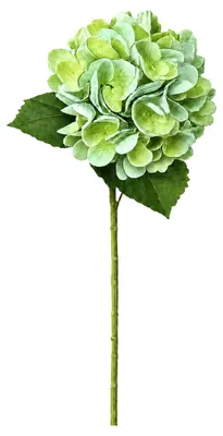 Produktbild von G.blümt Künstliche Hortensien 64 cm lang, Kunstblumen Real Touch wie echt, Grün 1 Stück