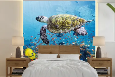 Produktbild von MuchoWow® Fototapete für Wohnzimmer oder Schlafzimmer Wandtapete Vinyl Motivtapete Schildkröte am Korallenriff - 280x280 cm - Hintergrundbild