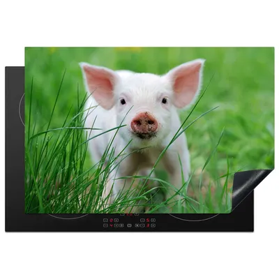 Produktbild von KitchenYeah© Herdabdeckplatte Schwein - Tiere - Groß , 76x51cm, Küche Deko, Glaskeramikkochfeld Herdabdeckung, Abdeckplatte fùr Kochfeld