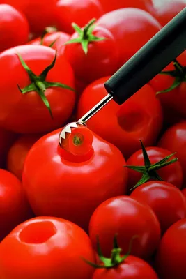 Immagine prodotto di Tritatutto per pomodori 10 004 25 00