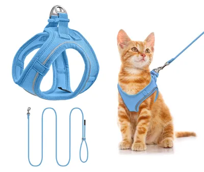 Immagine prodotto di Omgoods - Guinzaglio e pettorina per cani - Comodi e riflettenti, ideali per cani e gatti di piccola taglia