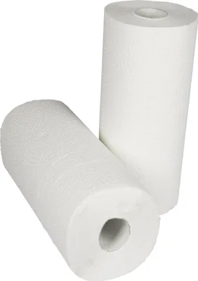 Image de memo Küchenrolle Recycling Strong & Dry H2171 3lg. 102Bl. 2Rl.