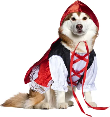 Immagine prodotto di Costume da animale a forma di Rubino per cani o gatti, taglia S – piccola