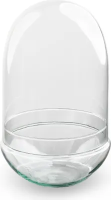 Produktbild von Glaskolben - Glasglocke - Eiform - Geschlossenes Terrarium ↑ 30 cm