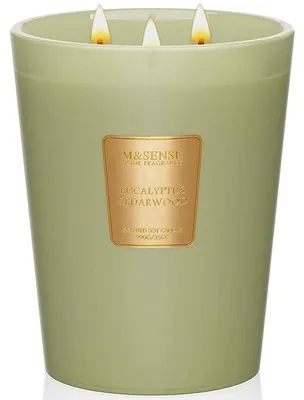 Produktbild von Duftkerze Eucalyptus Cedarwood im Glas 990g Sojawachs 3 Dochte 150 Stunden Brenndauer