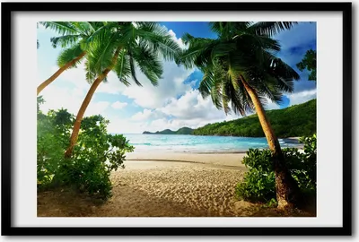 Produktbild von Bild 60x40 MDF-Rahmen, Wandkunst Palmen am Strand