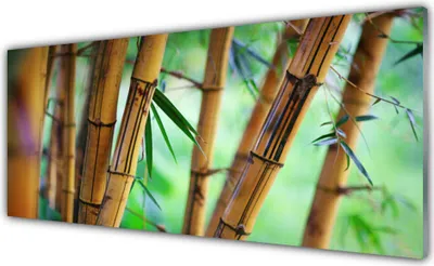 Produktbild von Acrylglasbilder 125x50 Wandbild Druck Bambusrohr Natur