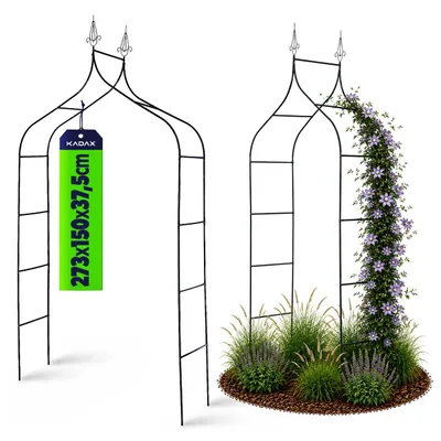 Image de KADAX Pergola de jardin en métal, 255 cm, arc, support de fleurs pour rosiers, plantes, grimpeurs