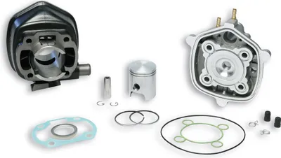 Zdjęcie produktu dla Zestaw cylindrów żeliwnych Malossi D 40 50cc śruba 10 LC