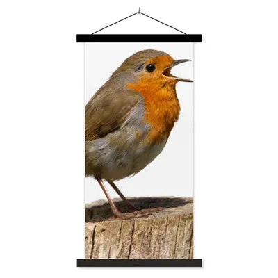 Produktbild von MuchoWow® Textilposter Rotkehlchen - Vogel - Holz 90x180 cm mit schwarzem Rahmen - Dekoration Wohnzimmer