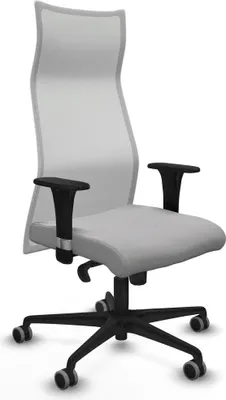 Image de Bürostuhl Piqueras y Crespo B1C036G Hellgrau