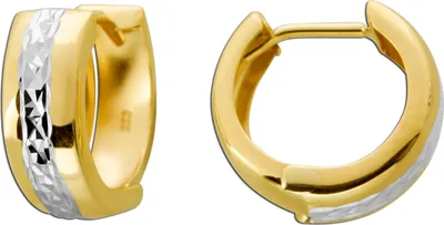 A pair of gold and silver hoop earrings shown against a white background.