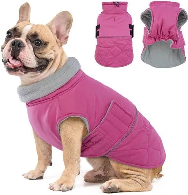 Produktbild von Unyqoos® Warmer, fleecegefütterter Hundemantel für kleine Hunde mit reflektierenden Streifen, Klettverschlüssen, elastischer Bauchzone & verstellbarem Kordelkragen