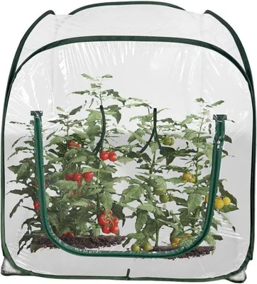 Produktbild von Famanu Mini-Gewächshaus Faltbar - Transparente PVC-Abdeckung - 98x98x98CM