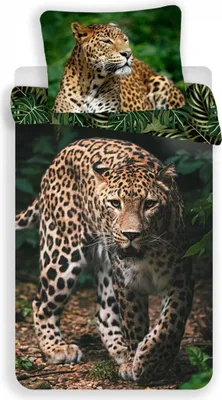 Image de Parure de lit enfant léopard jungle sauvage couette 140 x 200 cm + oreiller 70 x 90 cm 100% coton