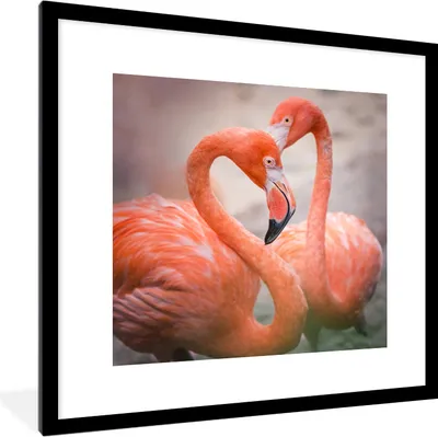 Produktbild von MuchoWow® MuchoWow® Gerahmtes Poster Flamingos bilden mit ihren Hälsen ein Herz 40x40 cm - Poster mit zchwarzem Bilderrahmen - Poster - Plakat im Rahmen