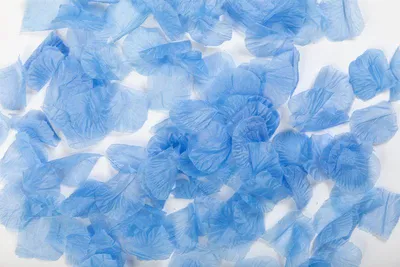 Produktbild von 144 Rosenblätter aus Organza Stoff in Hellblau