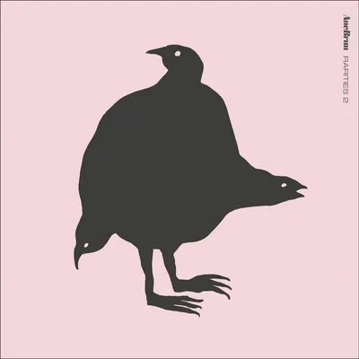Productafbeelding van Ane Brun: Rarities 2 (180g) -  - (LP / R)