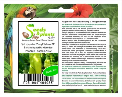 Produktbild von 15x Spitzpaprika 'Conyl Yellow F1' Bananenpaprika Gemüse Pflanzen - Samen A462