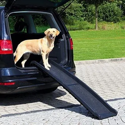 Immagine prodotto di Trappola per cani domestici, piccola, pratica