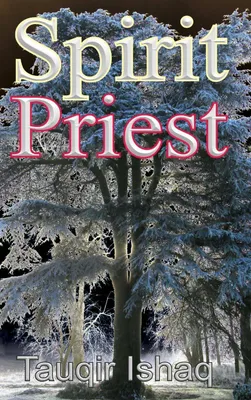 Produktbild von Spirit Priest