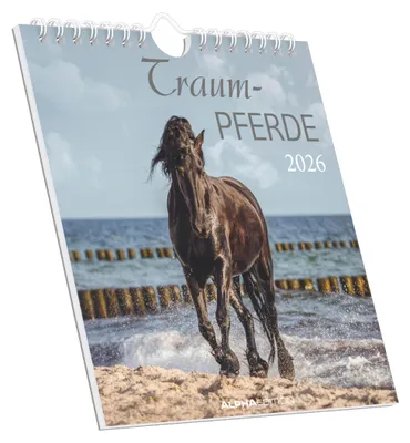 Produktbild von Alpha Edition - Traumpferde Kalender 2026 - Postkartenkalender 16×17 cm mit Pferdemotiven, zum Aufstellen oder Aufhängen, dekorativer Tischkalender & Geschenkidee für Pferdeliebhaber
