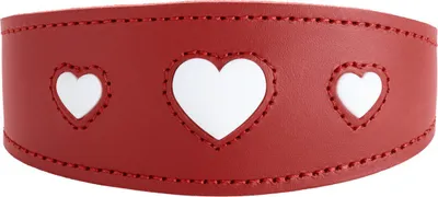 Productafbeelding van Hunter 69407, Pes, Standaard halsband, Rood, Leer, Effen, XS-S