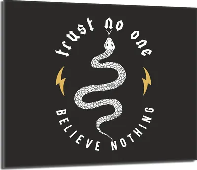 Obrázek produktu pro Kryt varné desky 60x52 Skleněný kryt varné desky Splashback Skleněná deska Deco Prkénko na krájení, Snake Black