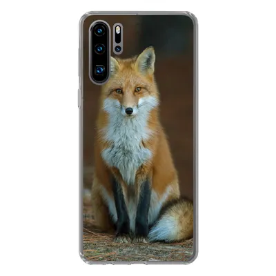 Produktbild von MuchoWow® Handyhülle Schutzhülle Hülle für Huawei P30 Pro Fuchs - Makro - Rot Silikon Softcase Handy Hülle - Schutzdeckel