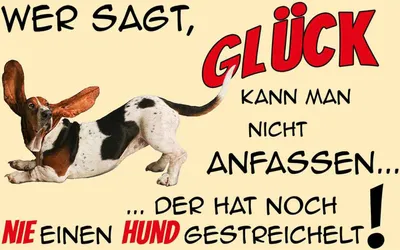 Produktbild von vianmo Holzschild 20x30 cm Hund wer sagt Glück kann nicht Tier Haustier