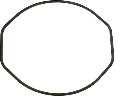 Produktbild von Calypso Dichtungsring für Gehäuseboden Bodendichtung K5500 K5501 K5502