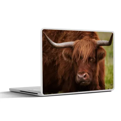 Produktbild von MuchoWow® Laptop Aufkleber Sticker Cover Schottischer Highlander - Orange - Tiere 25x18 cm - Laptop-Deko